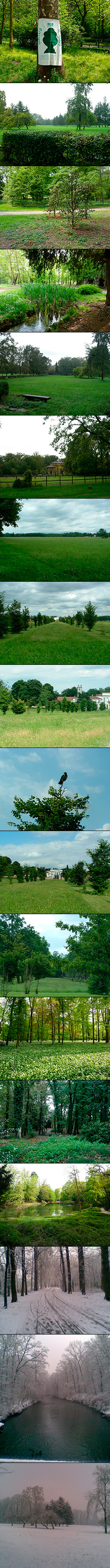 immagini parco