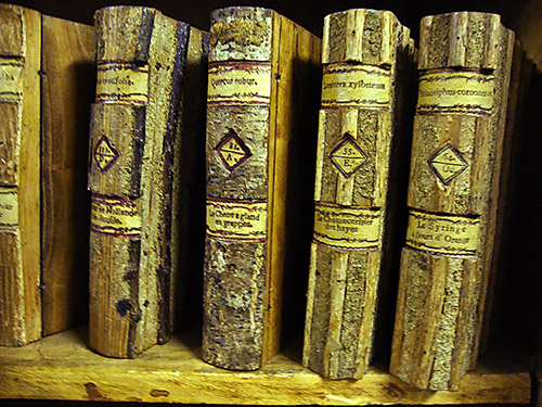 i Libretti di Monza - Herbarium Rainerianum